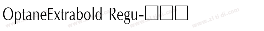 OptaneExtrabold Regu字体转换